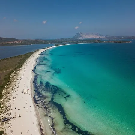 Pleasant Near The Sea Όλμπια